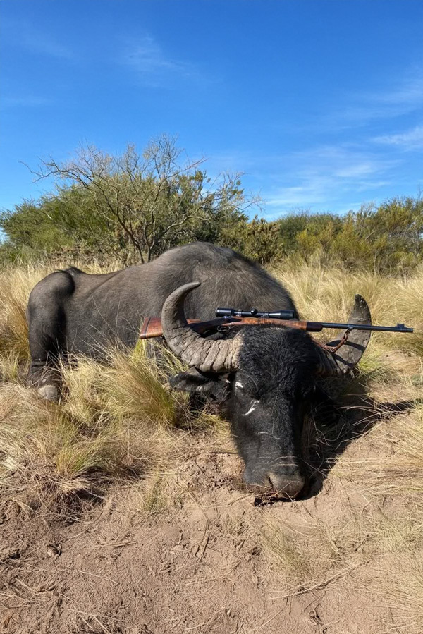 Buena Vista Outfitters - Packages